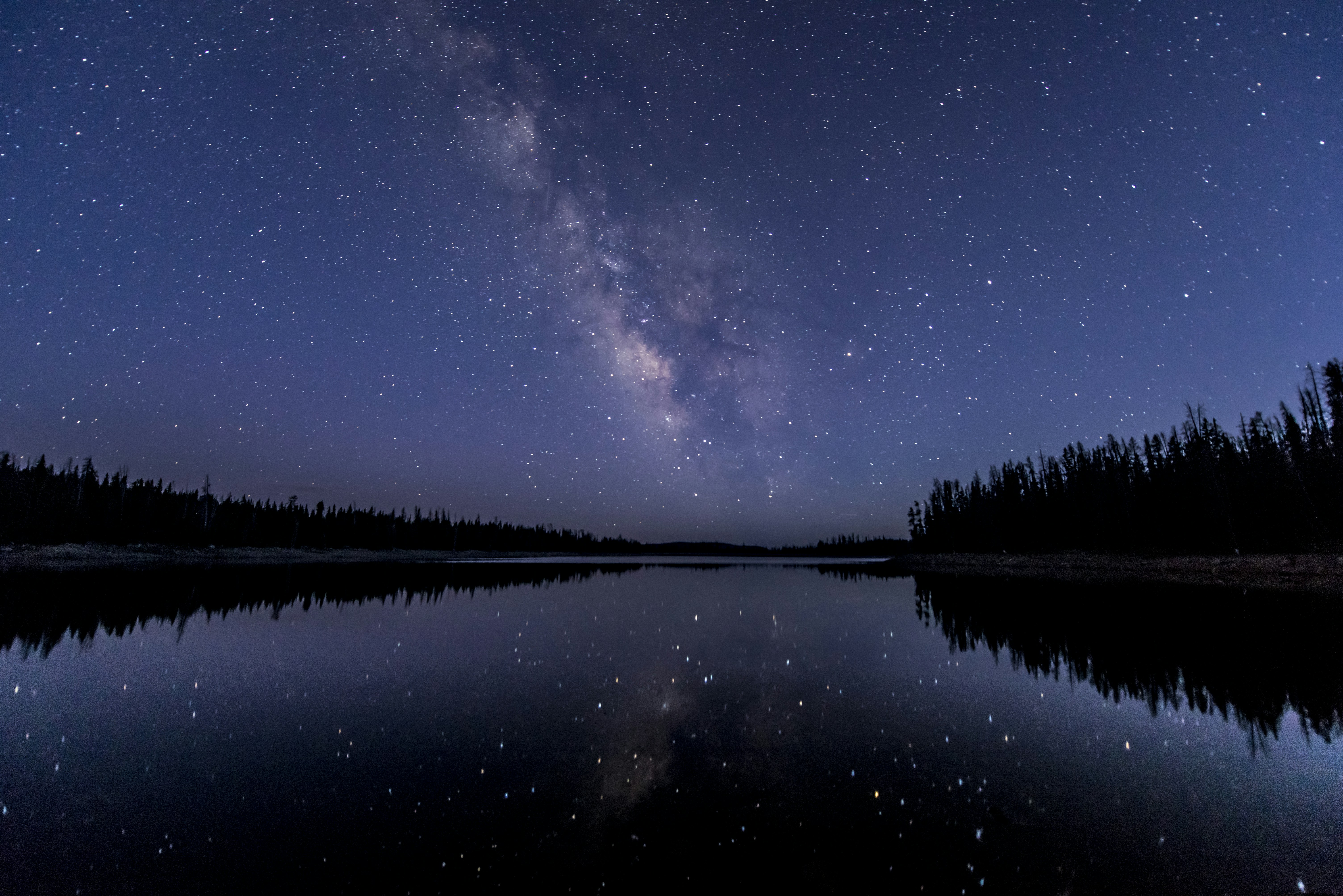 Constellations in the night sky